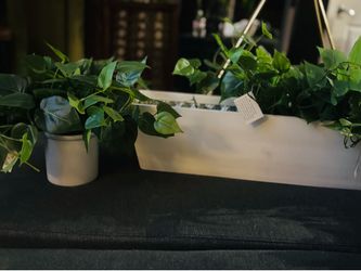 House Decor faux plants/wall shelf