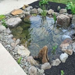 Ponds Ideas