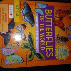 Magnetic Learning Buterflies