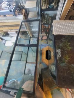 40 gallon breeder tank