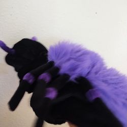 XS Spider Dog Costume