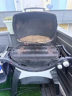 Weber Q Propane Gas Grill