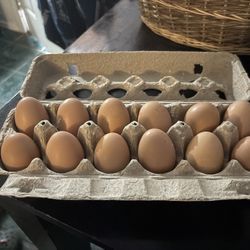 Eggs 🥚 