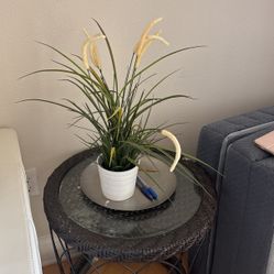 Artificial Plants And Decor All $5-10