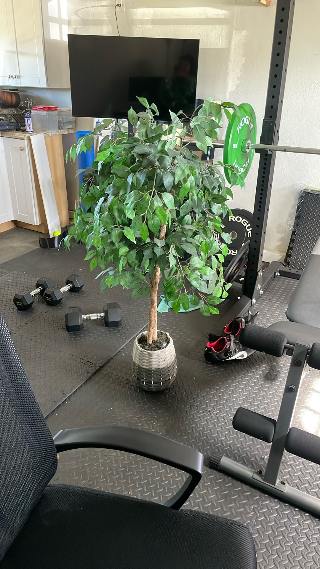 20$ Nice Fake Plant Tree
