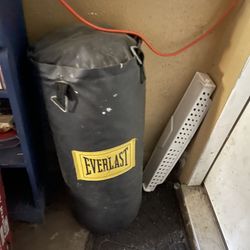 40 Pound Punching Bag
