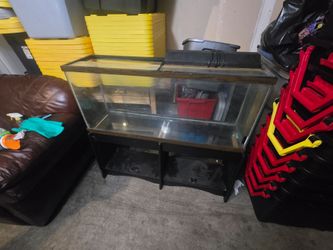 55 gal. Tank with full setup and more