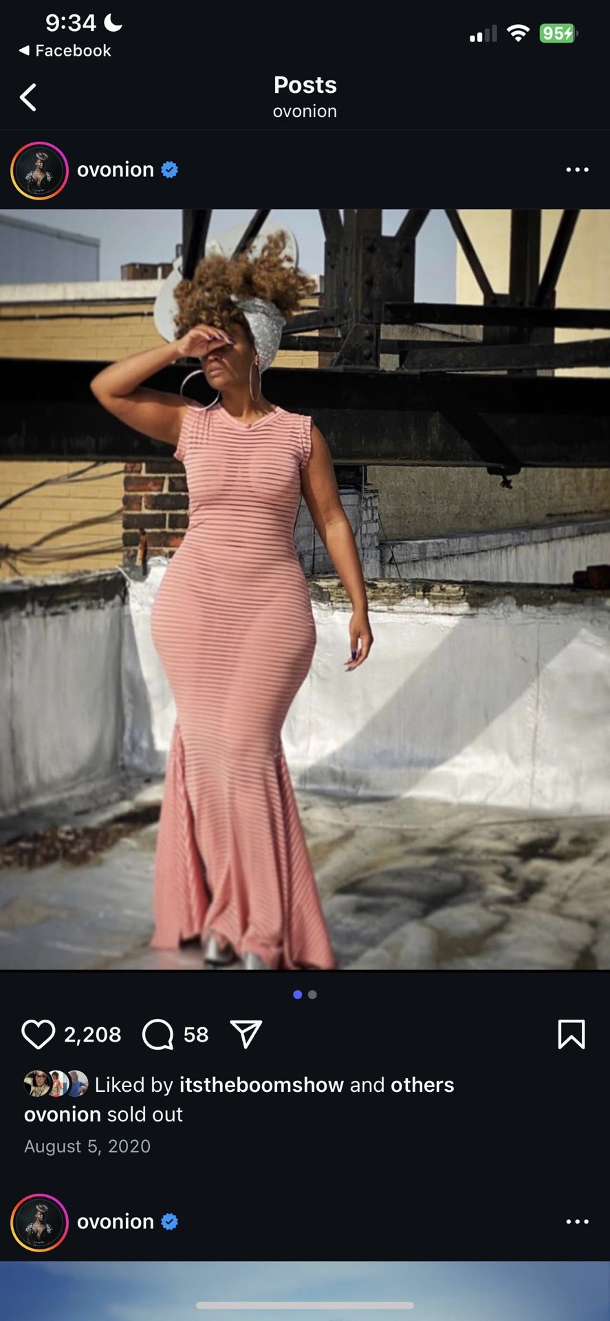 Whitney Mero "Onion" Dress Sheer Stretch Material 