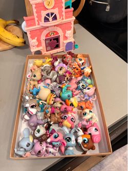 My little ponies, LoL, Disney, and littlest pet shop