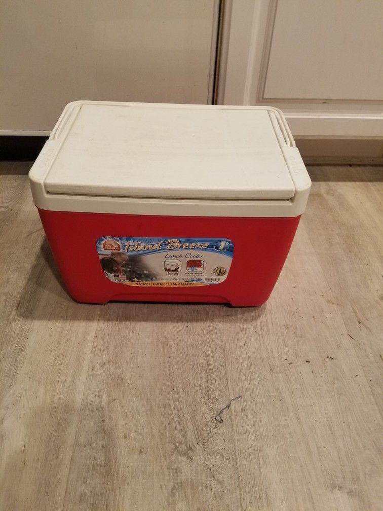 Igloo Cooler