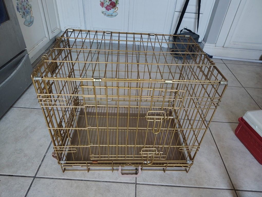 Case Animal.