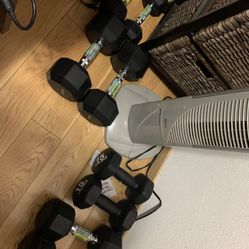 Ignite Dumbbells 10/15/20/25/30lb