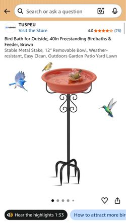 Bird bath with heater