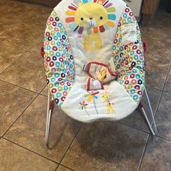 Baby Bouncer