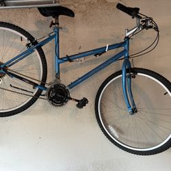 Vintage Magna Bicycle 