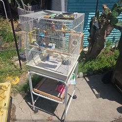 Bird Cage Comes With All Accessories 