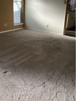 Large Carpet remnant