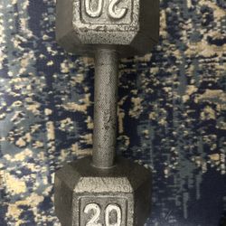 20 LB Dumbbell
