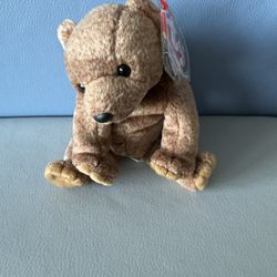 Pecan the Bear – TY Beanie Baby (Retired, Mint Condition