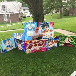 Dragon Ball Fan Art Canvas Painting!