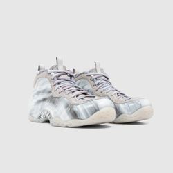 Nike Foamposite Dream-A-World Tech Grey