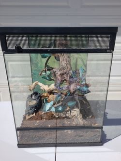 Reptile tank