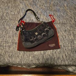 Coach Purse Small
