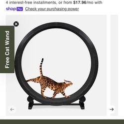 Fast cat Exercise Wheel