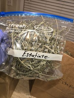 Estafiate/Mugwort 🌿 Herb 