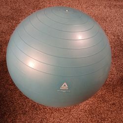 Reebok Weighted Stability Ball