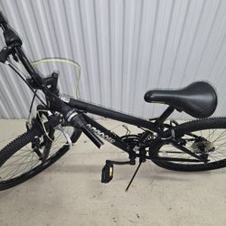 Bike Needs Shifter Fixed 