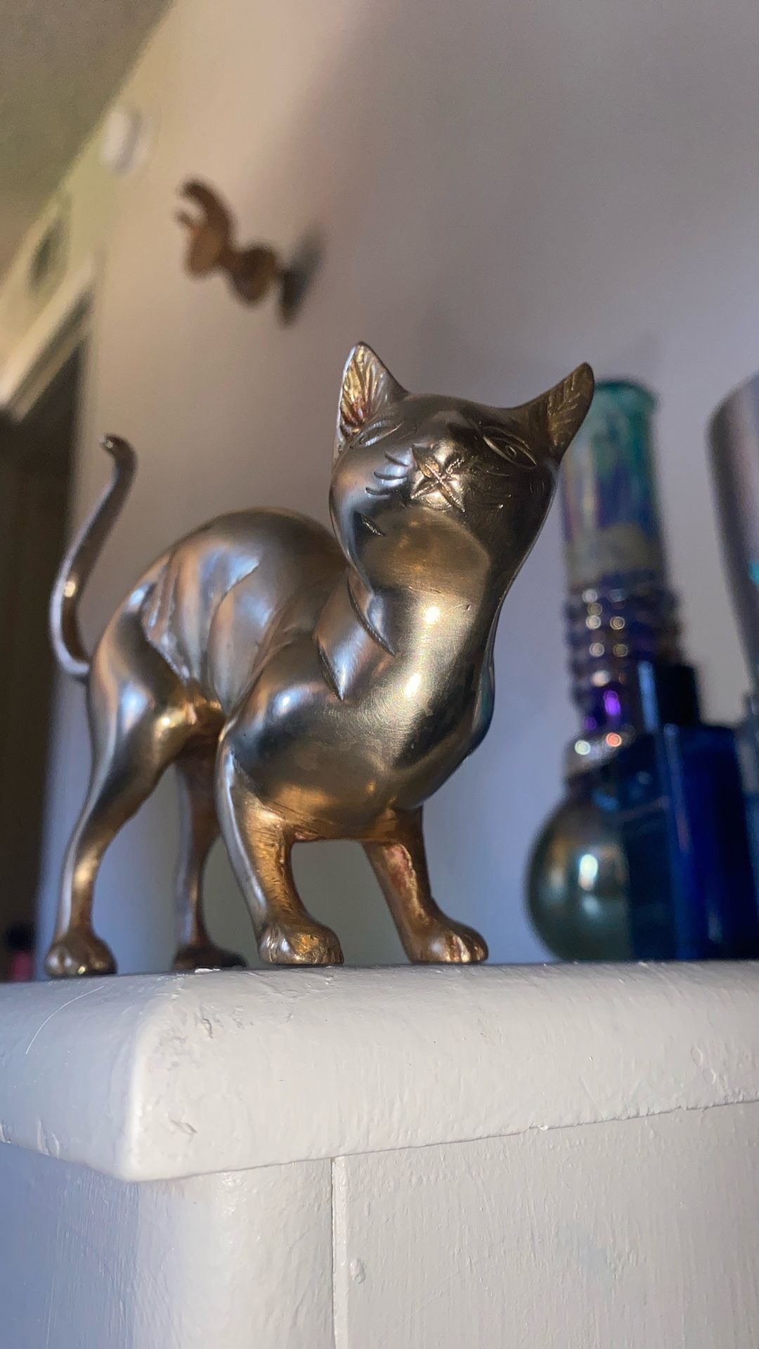 Heavy Metal Cat