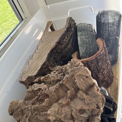 Reptile supply’s FREE