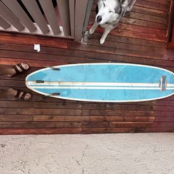 Na Papa Surfboards 
