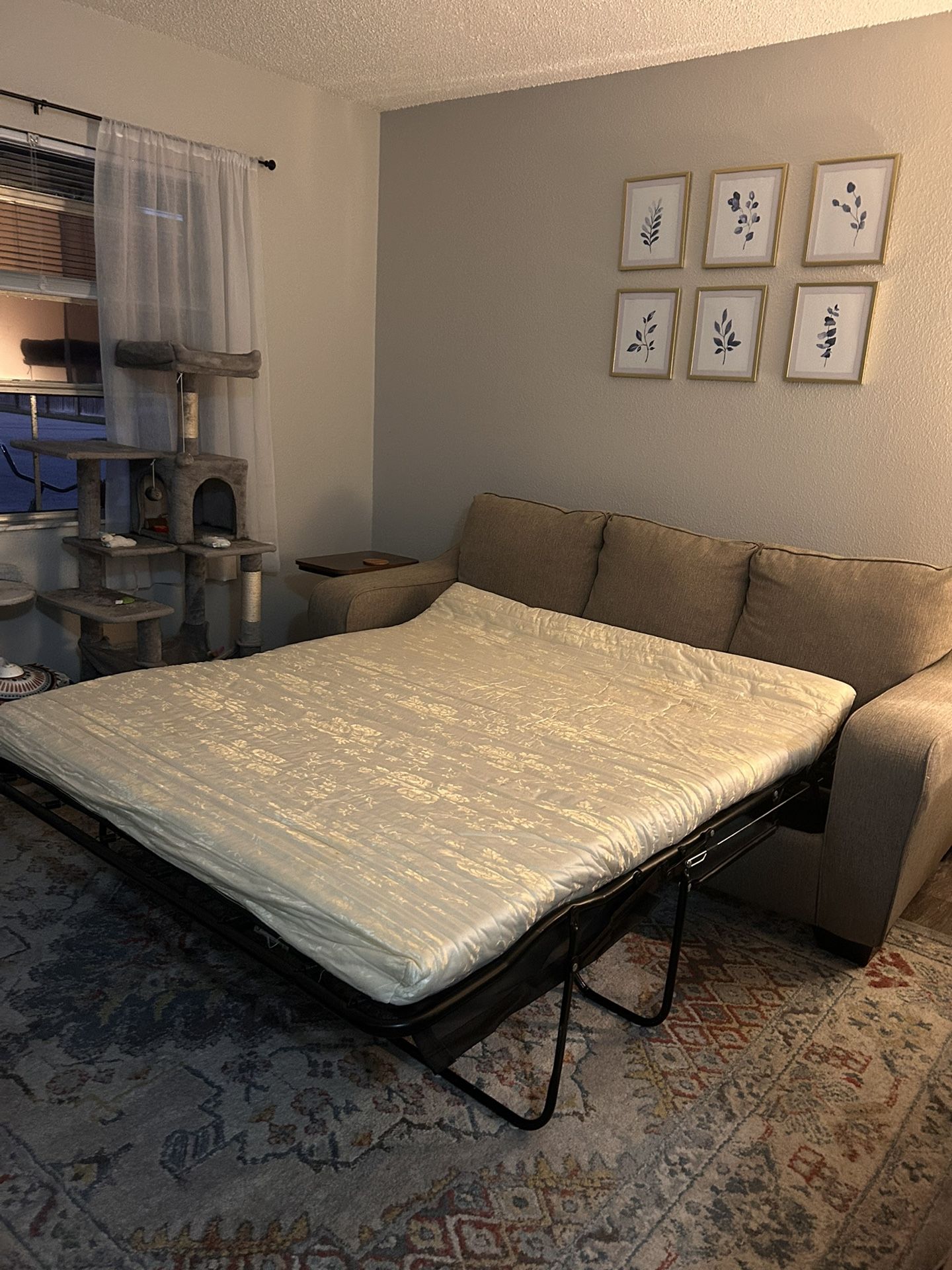 Need Couch Gone ASAP