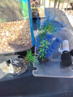 Aquarium