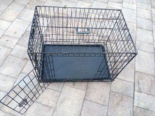 Dog Kennel