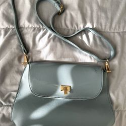 Handbag/Purse 