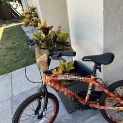 Bike (18”For Kids)