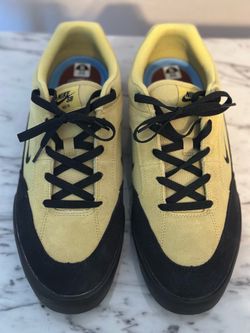 Nike SB