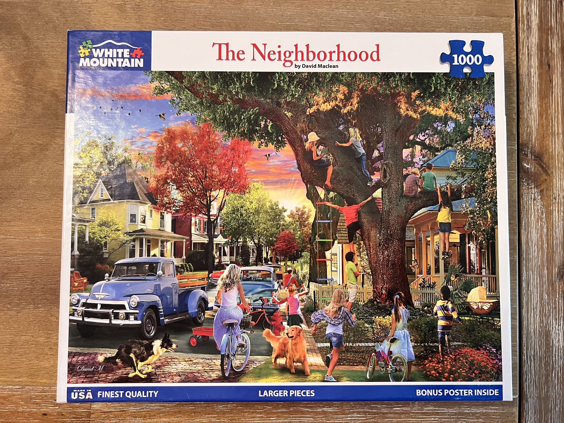 1000 Piece Puzzle