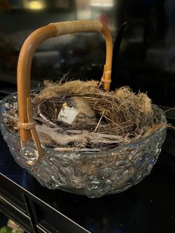 Glass Basket with Bird Nest Decor