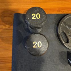 Dumbells 20 Pounds 