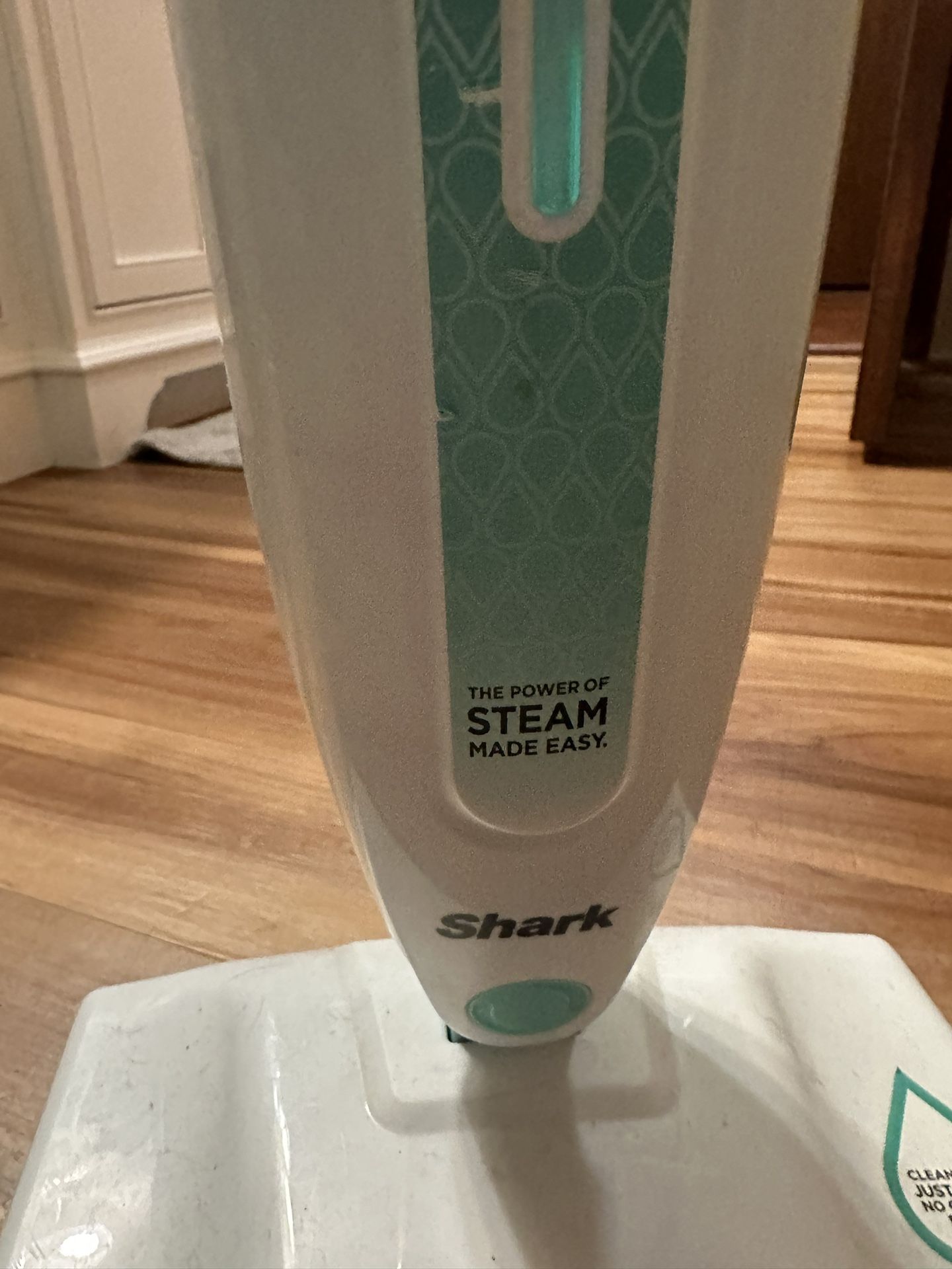 Shark Steam Cleaner 