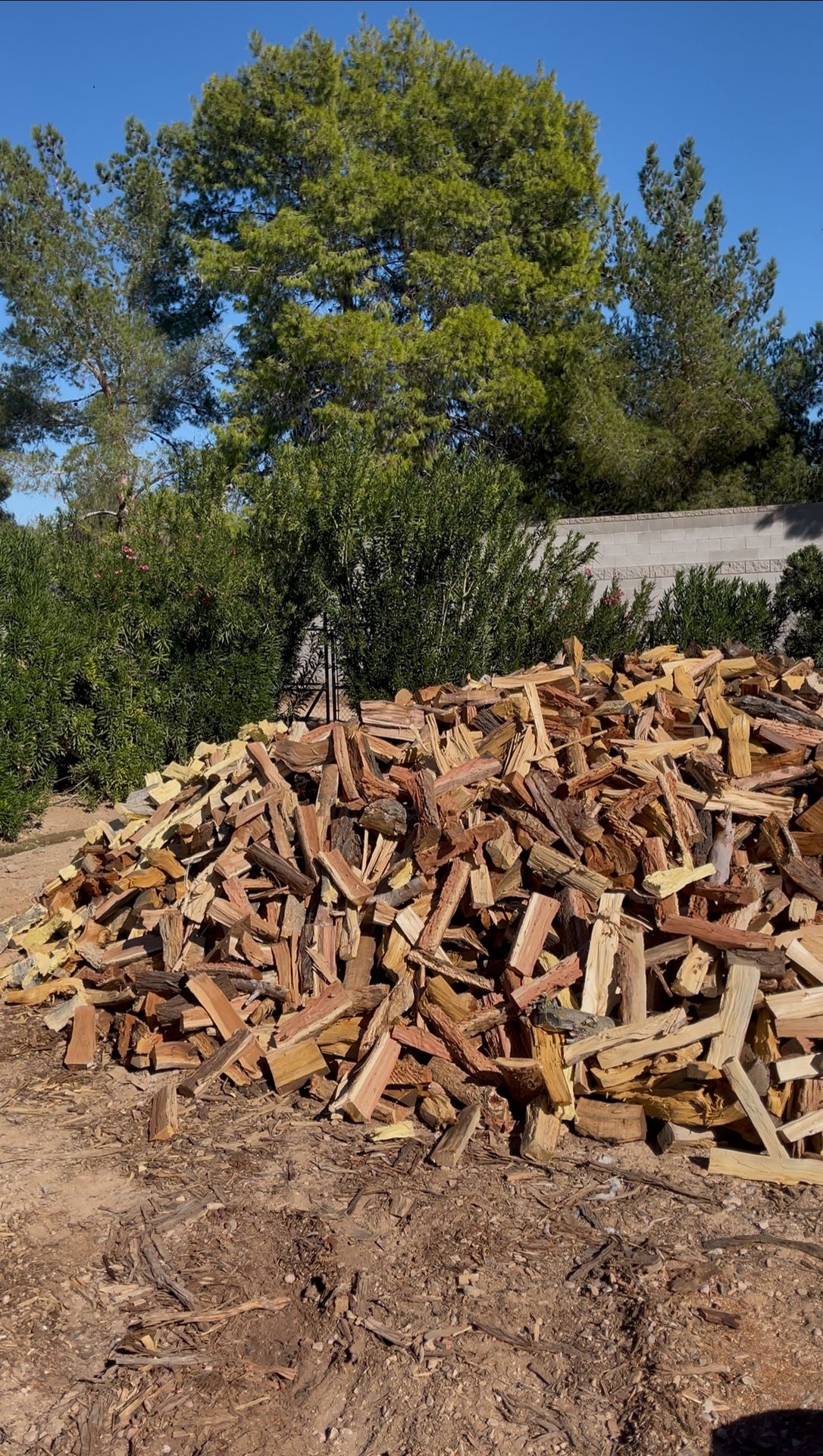 Firewood 