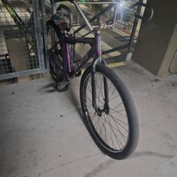 Big Ripper Trades!!!!