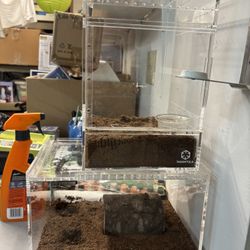 Tarantula Boxes