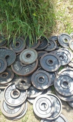 Standard weights and Olympic weights for sale