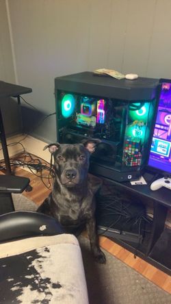 Gigabyte gaming pc. 700$ OBO