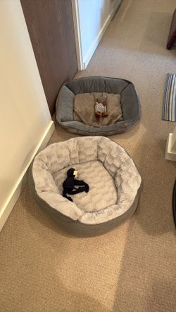 Free Dog Beds And Toys.